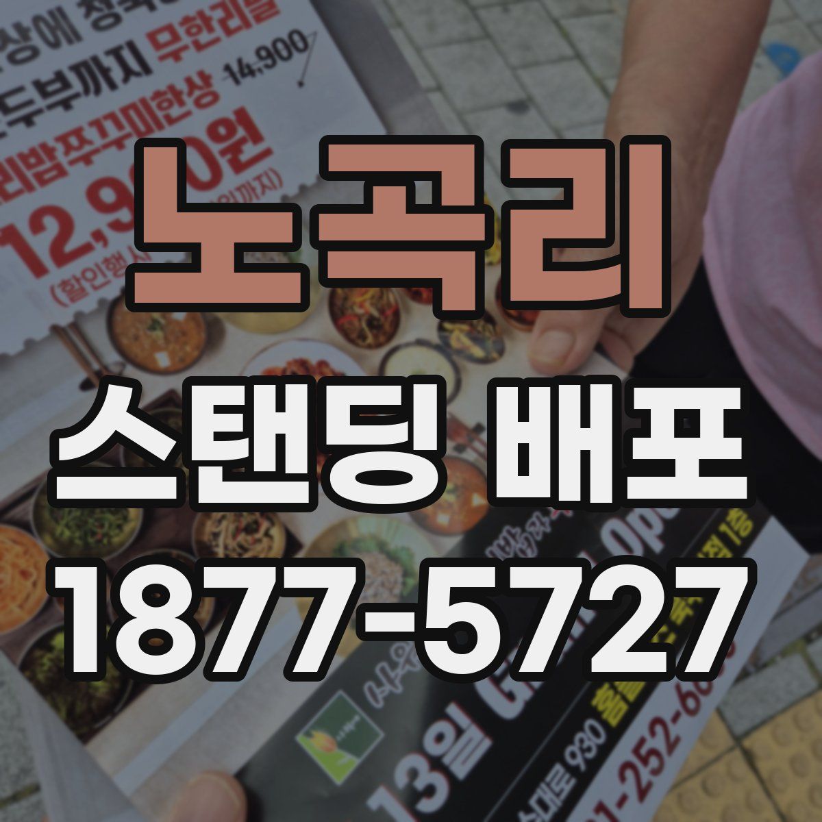노곡리 스탠딩 배포