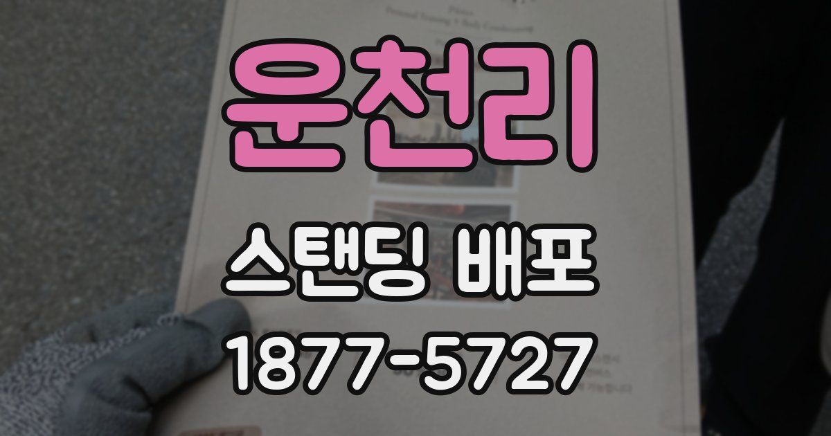 운천리 스탠딩 배포