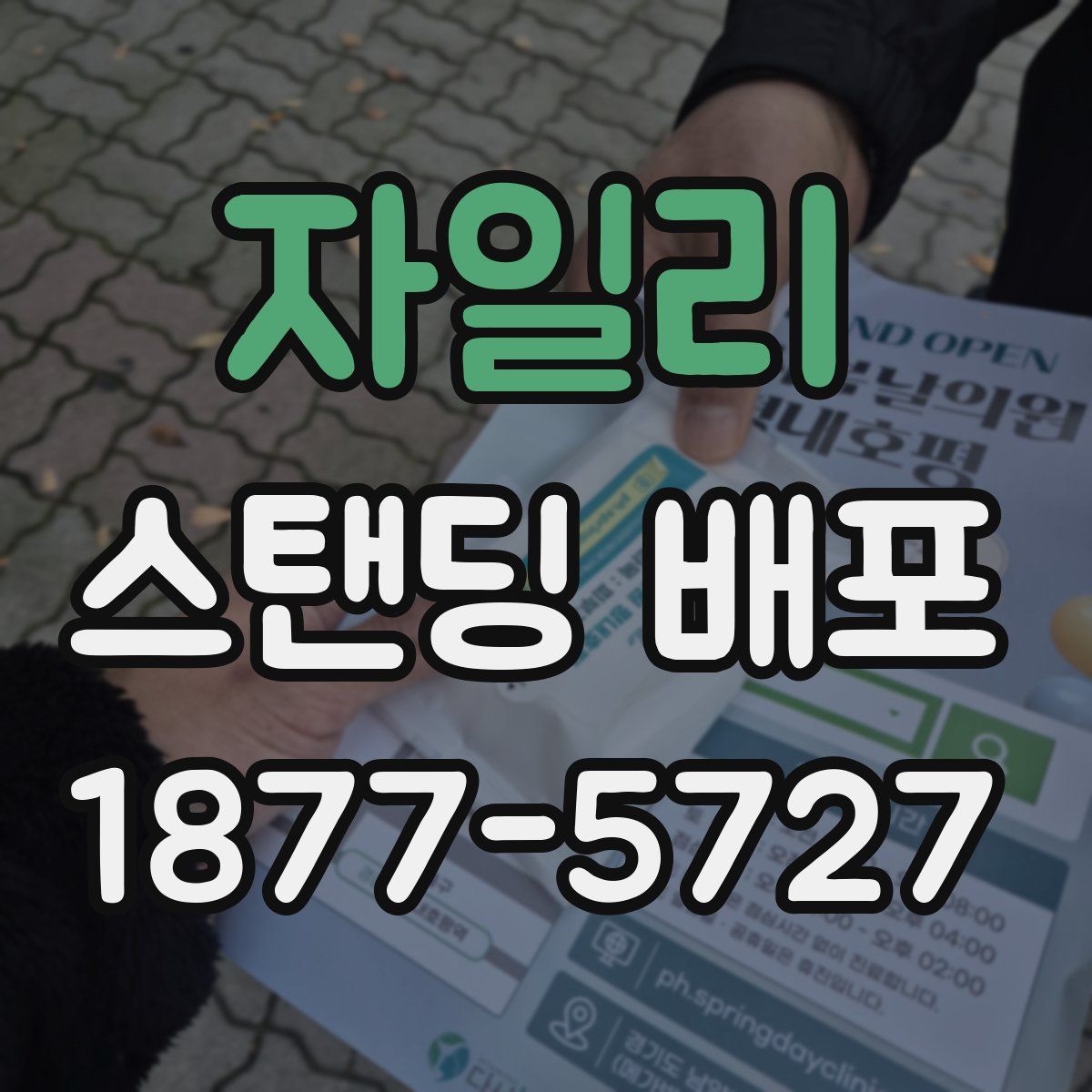 자일리 스탠딩 배포