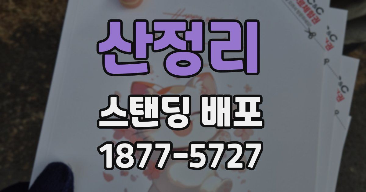 산정리 스탠딩 배포