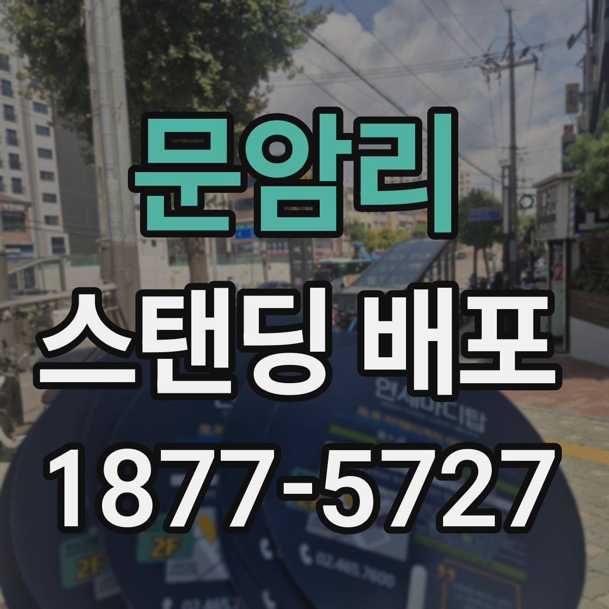 문암리 스탠딩 배포