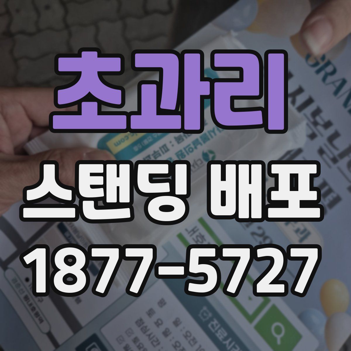 초과리 스탠딩 배포