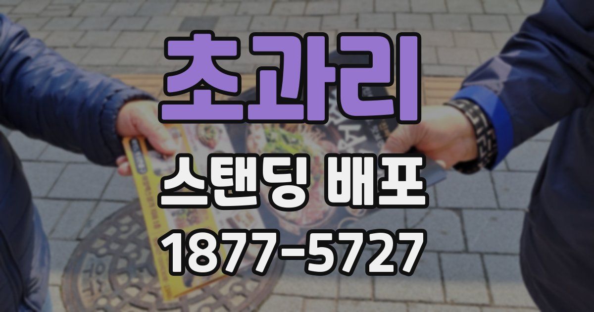 초과리 스탠딩 배포