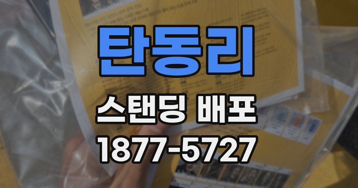 탄동리 스탠딩 배포