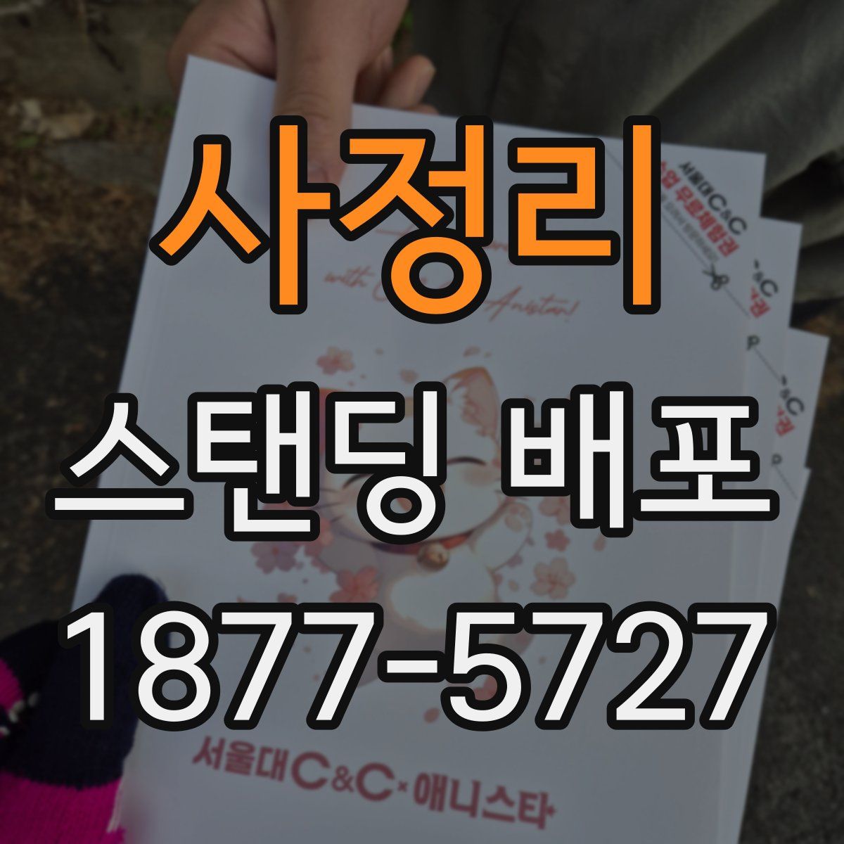 사정리 스탠딩 배포