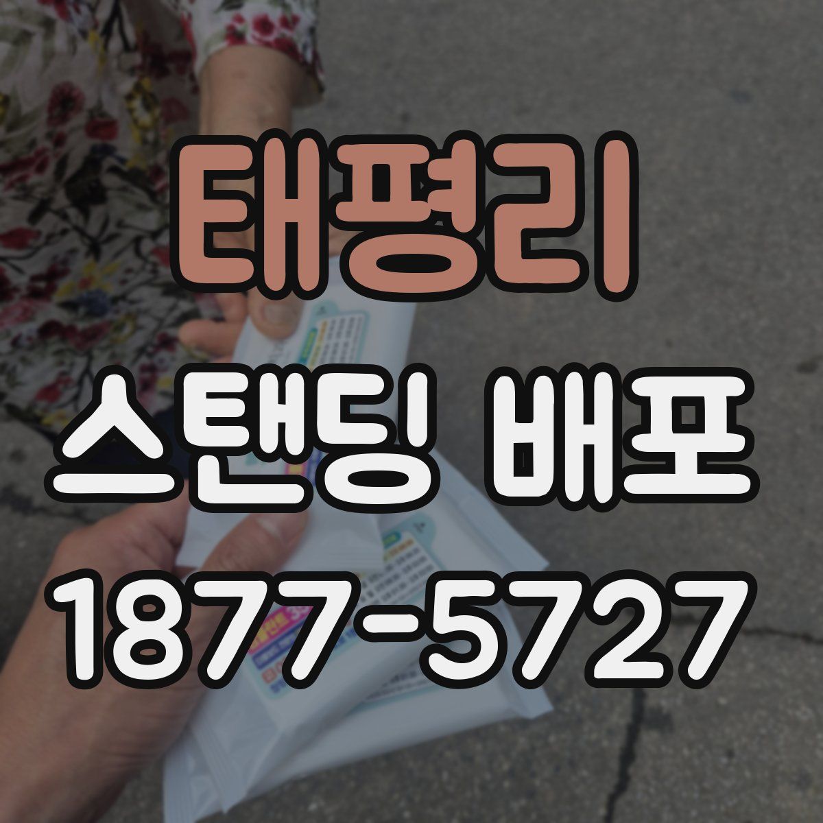 태평리 스탠딩 배포