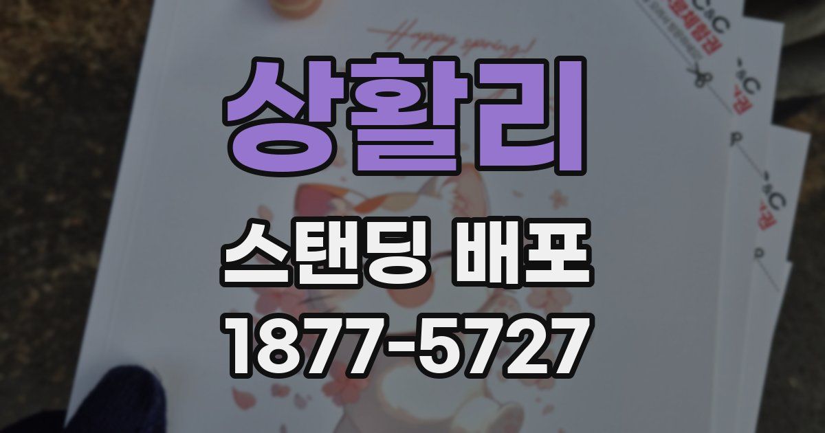 상활리 스탠딩 배포