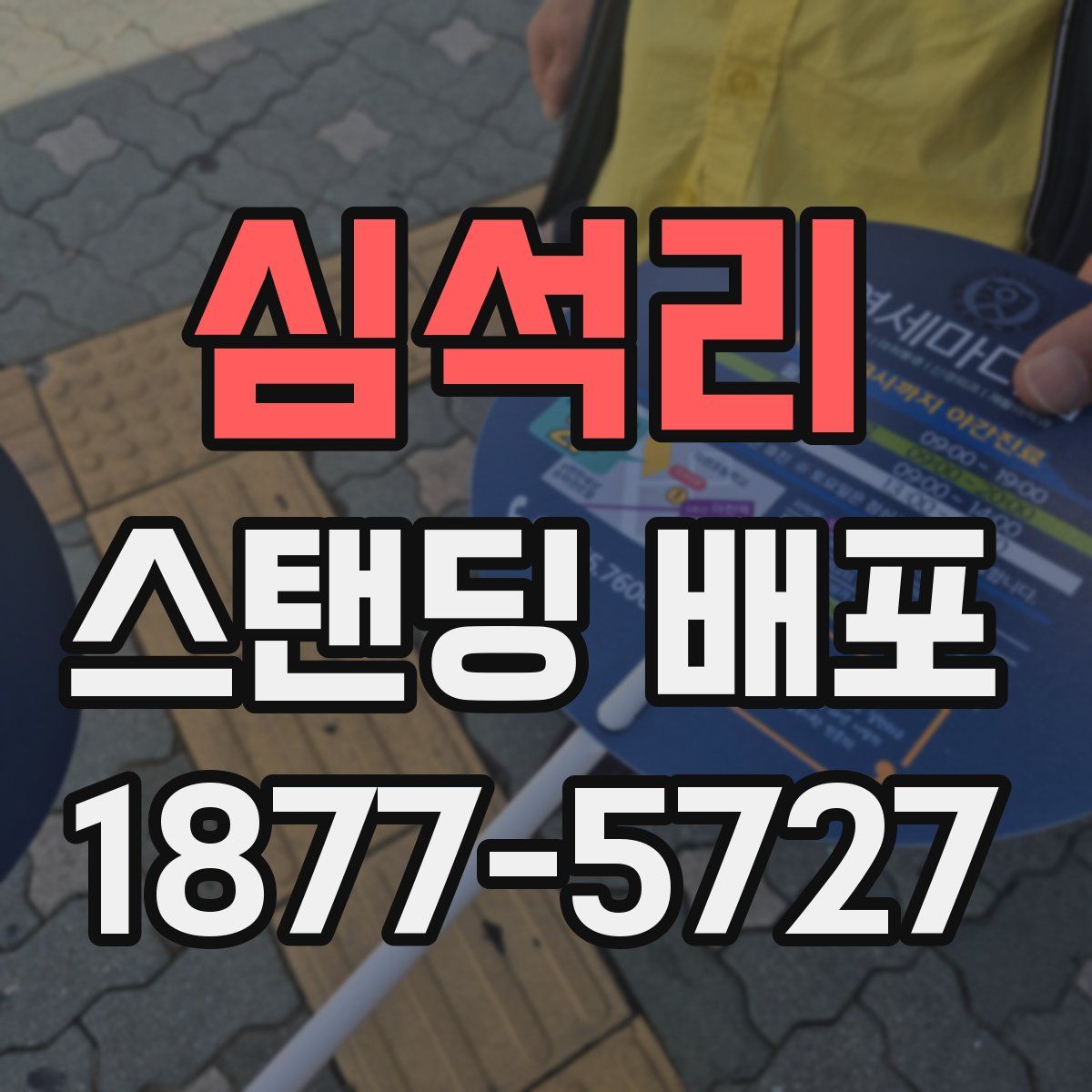 심석리 스탠딩 배포