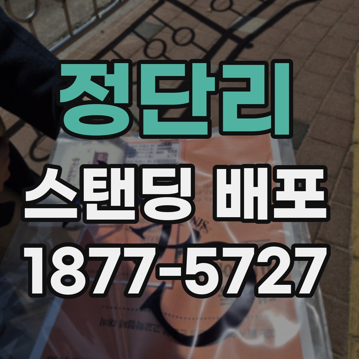 정단리 스탠딩 배포