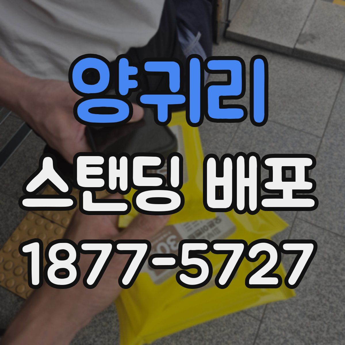 양귀리 스탠딩 배포