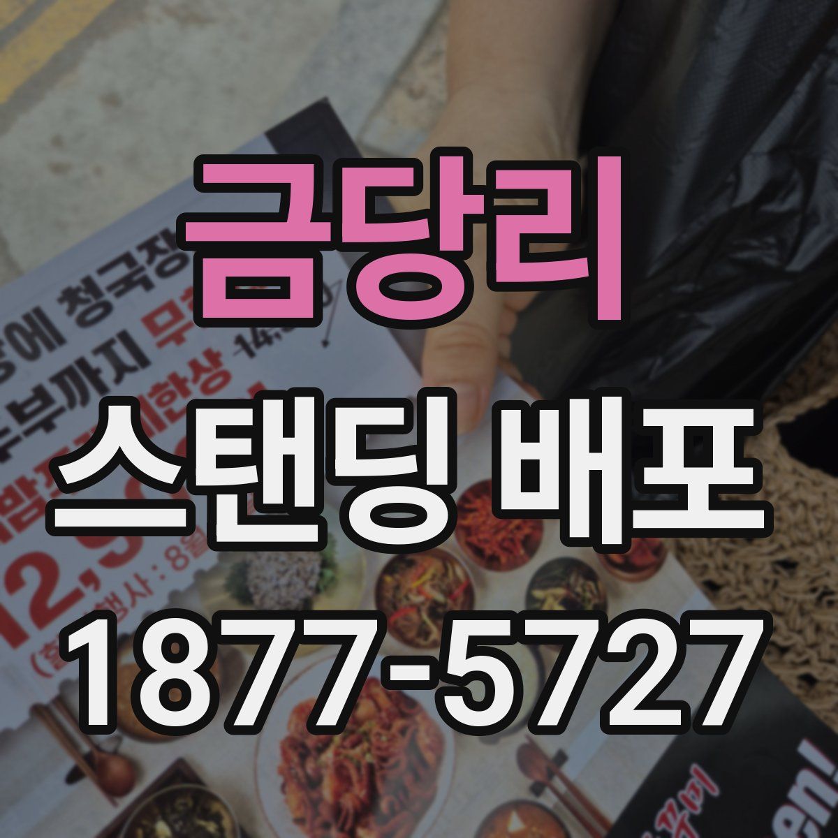 금당리 스탠딩 배포