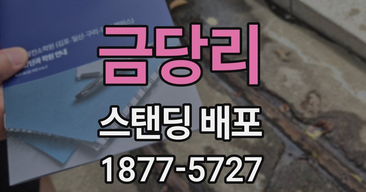 금당리 스탠딩 배포