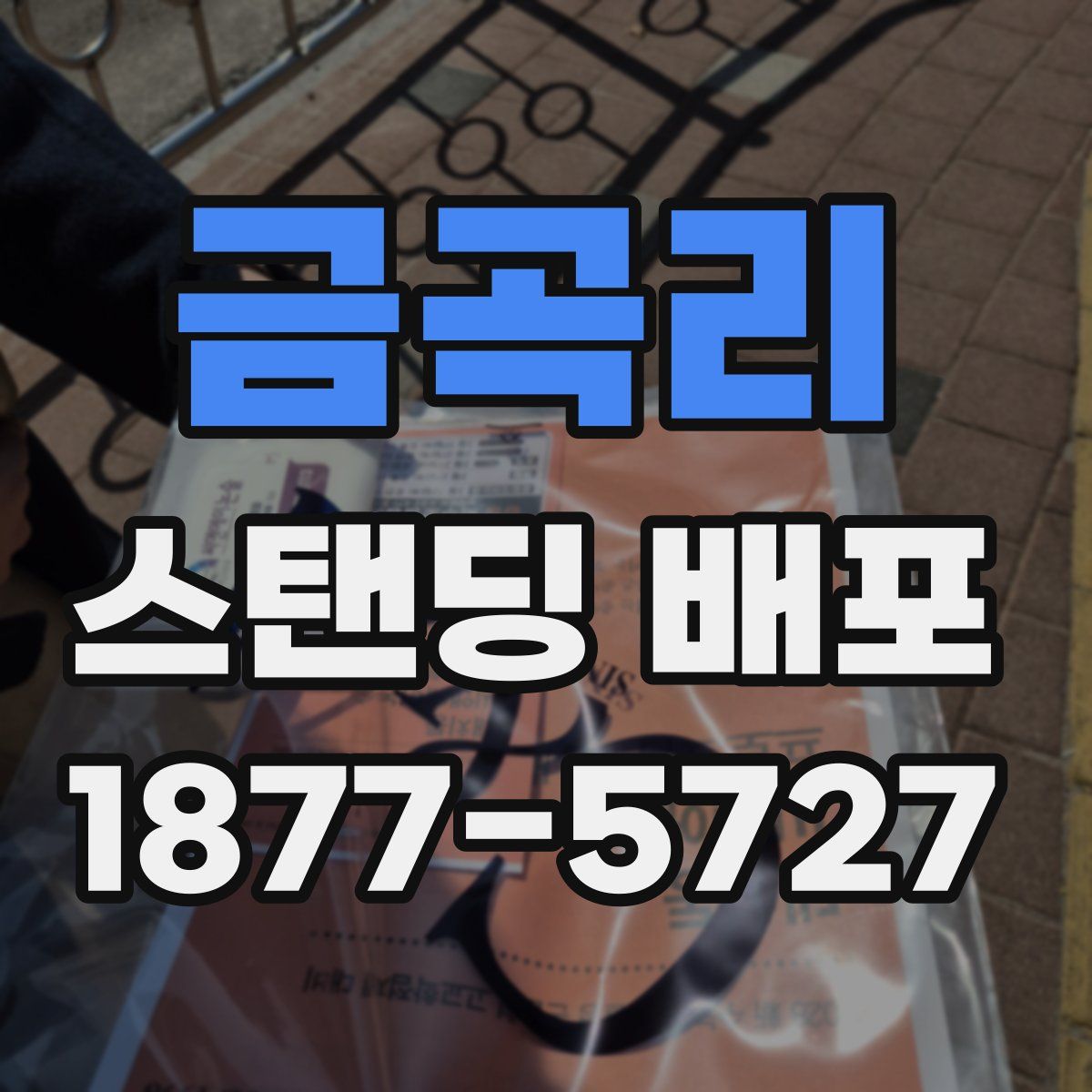 금곡리 스탠딩 배포