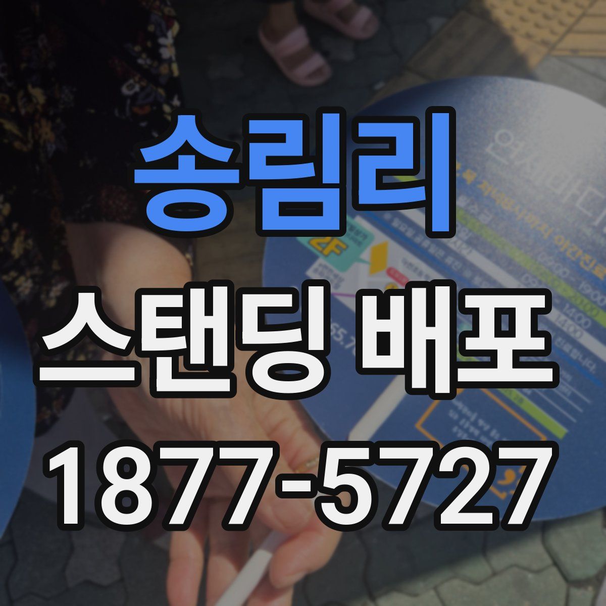 송림리 스탠딩 배포