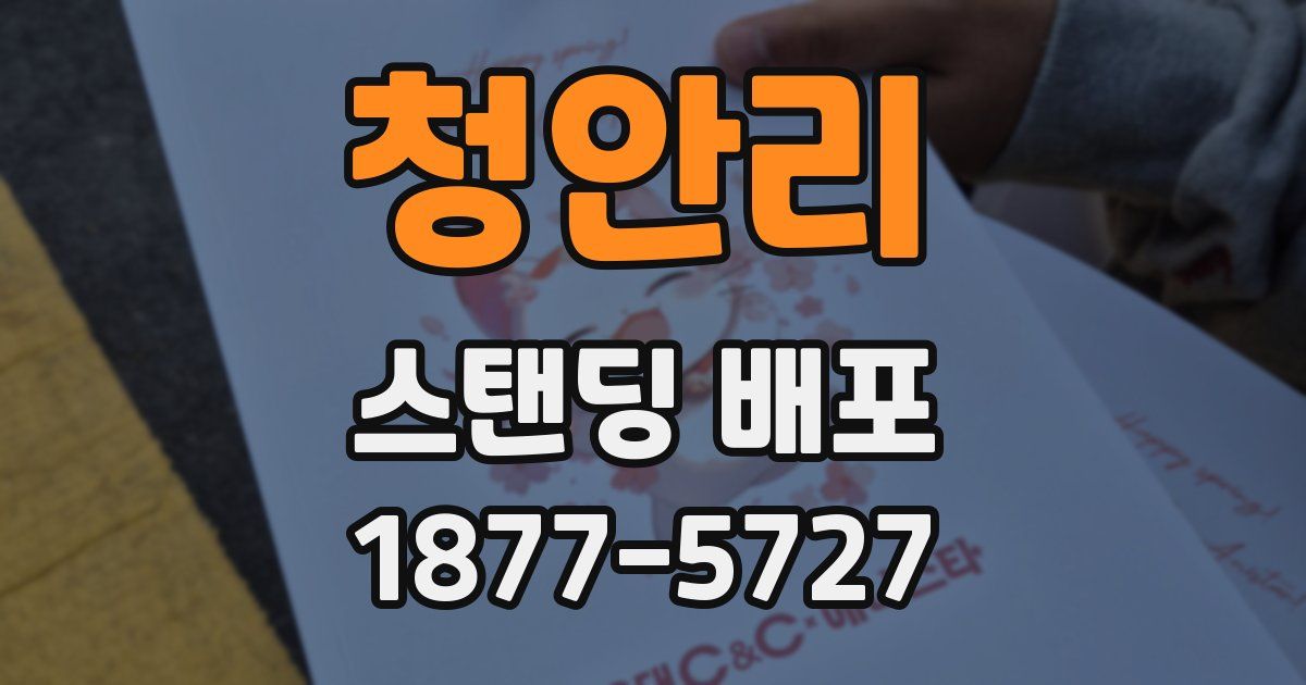 청안리 스탠딩 배포