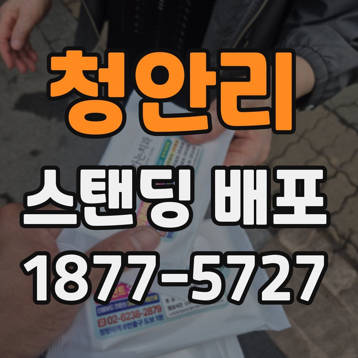 청안리 스탠딩 배포
