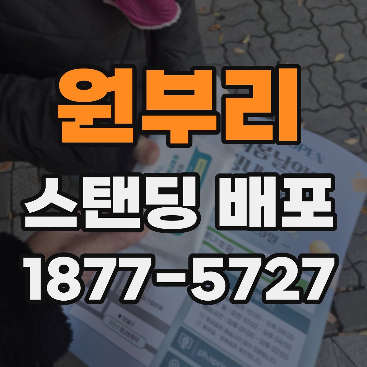 원부리 스탠딩 배포