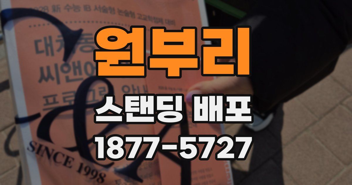 원부리 스탠딩 배포