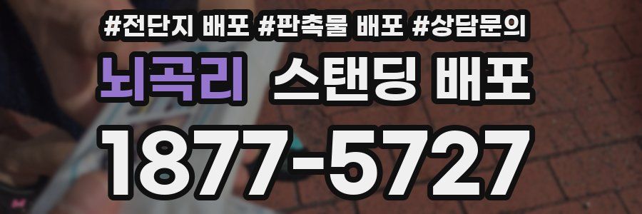 뇌곡리 스탠딩 배포