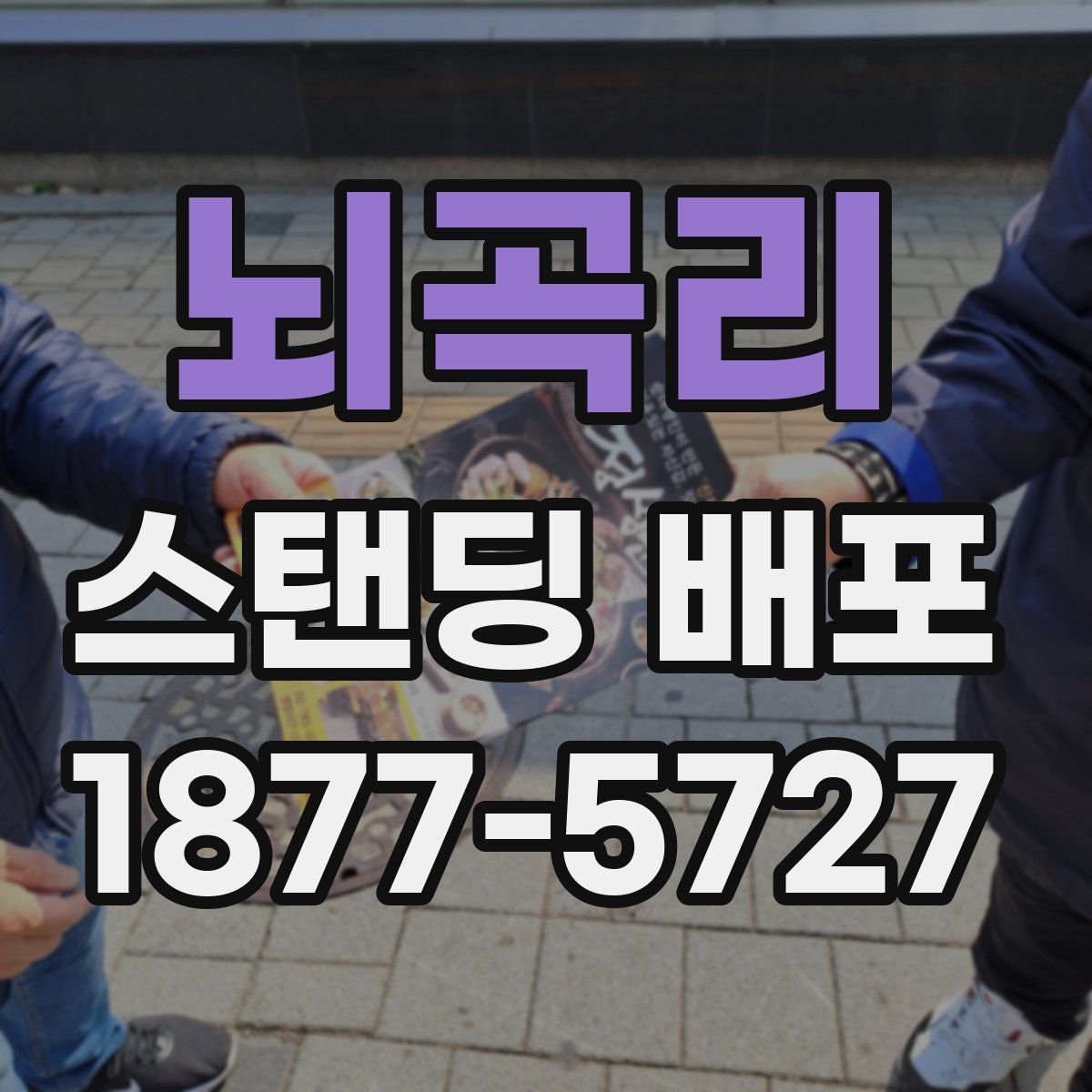 뇌곡리 스탠딩 배포