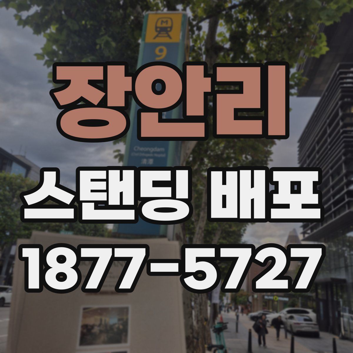 장안리 스탠딩 배포