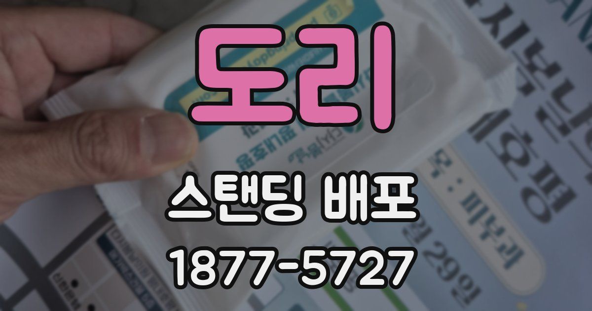 도리 스탠딩 배포