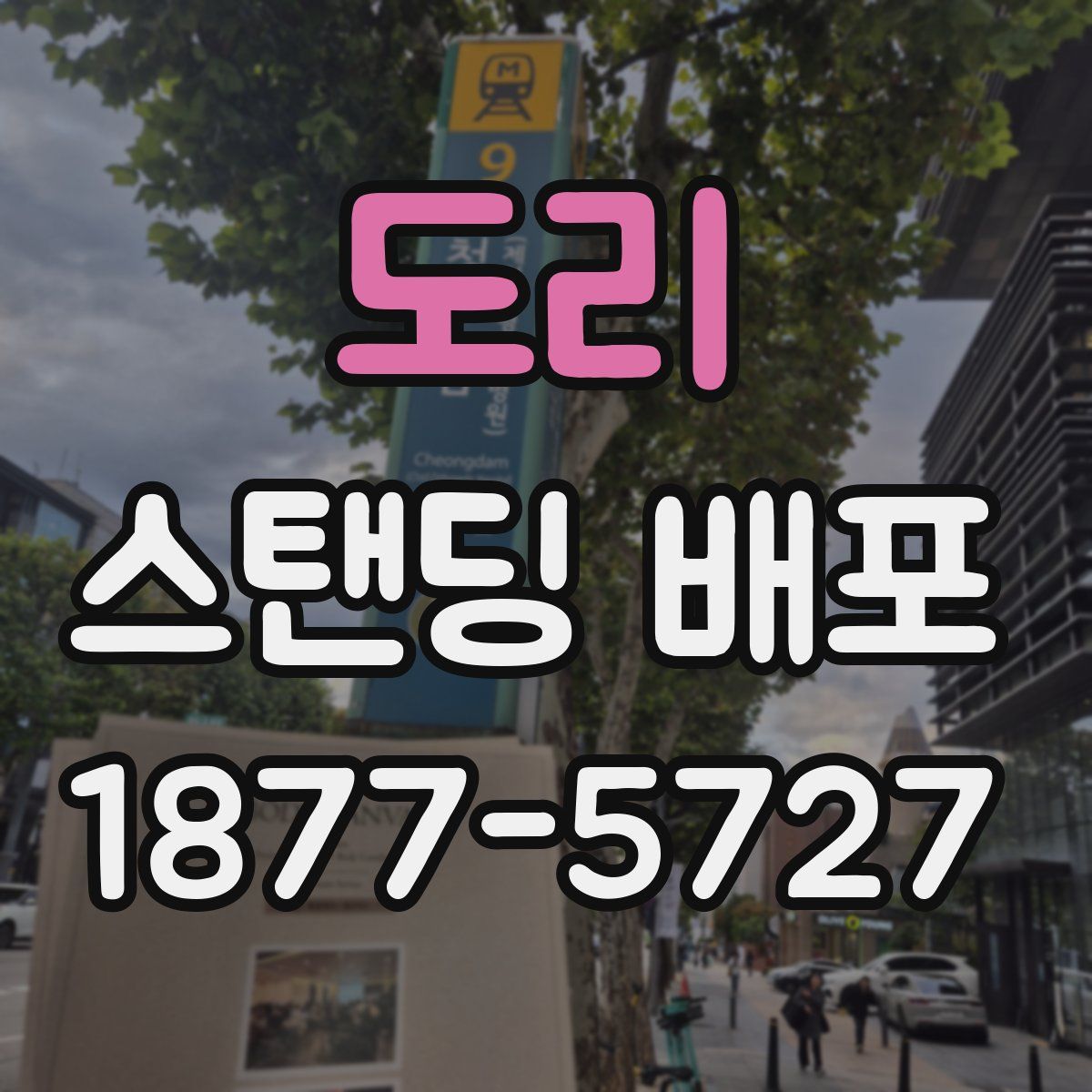 도리 스탠딩 배포