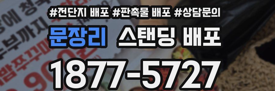 문장리 스탠딩 배포