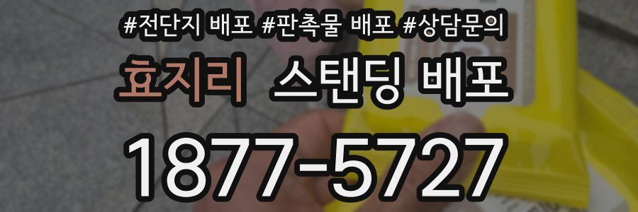 효지리 스탠딩 배포
