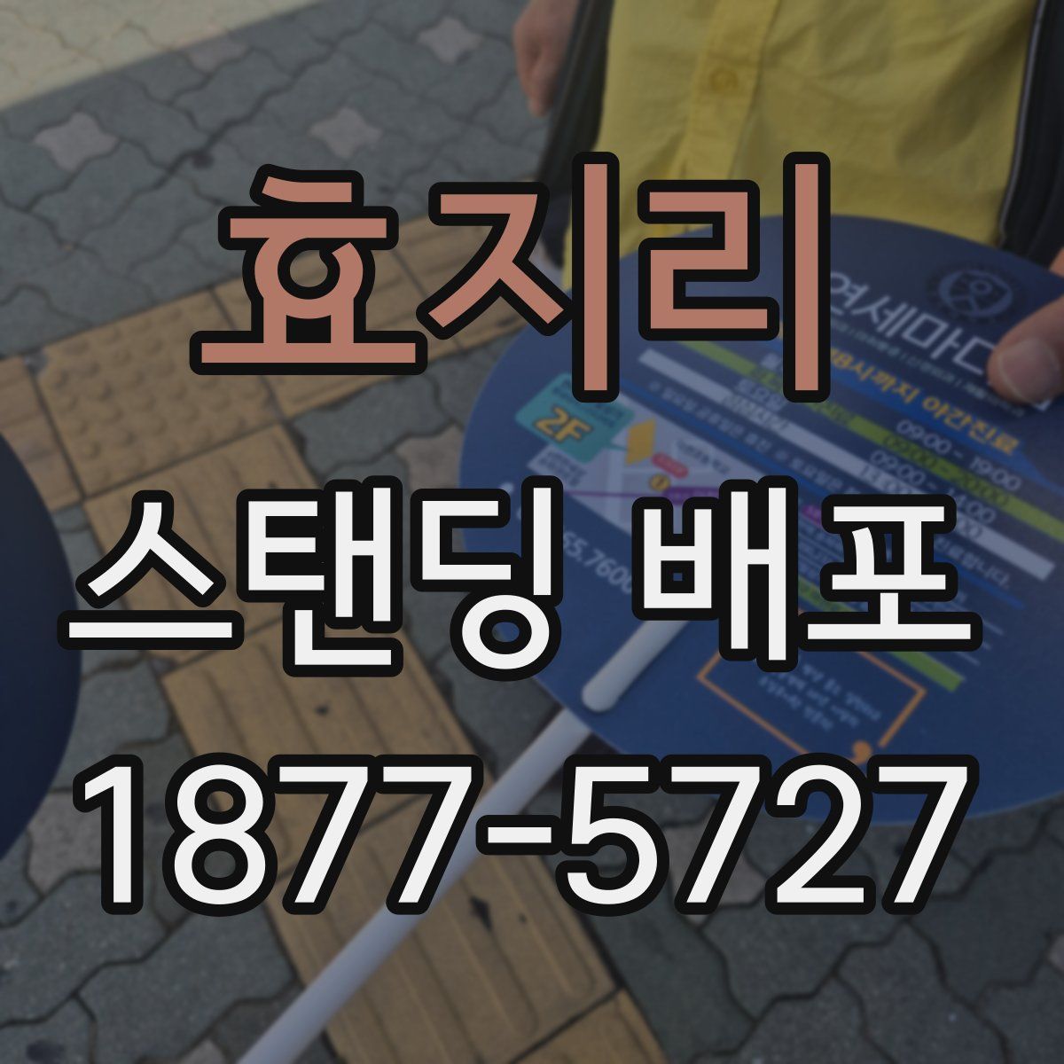 효지리 스탠딩 배포