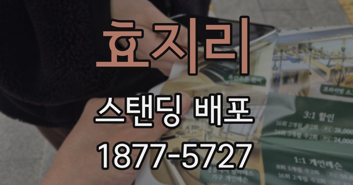 효지리 스탠딩 배포