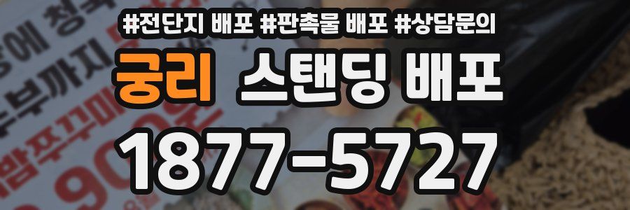궁리 스탠딩 배포