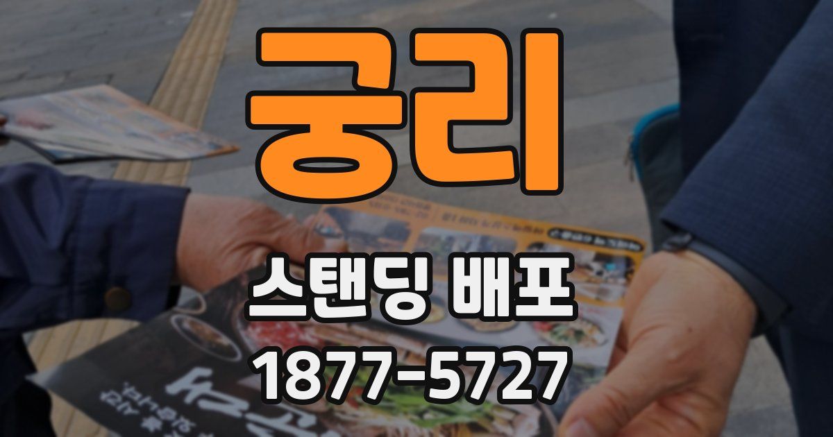 궁리 스탠딩 배포