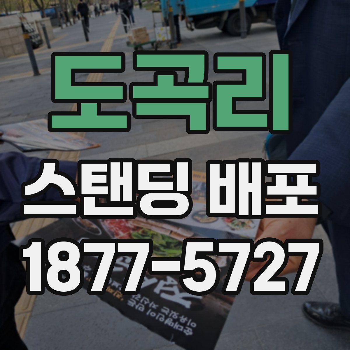 도곡리 스탠딩 배포