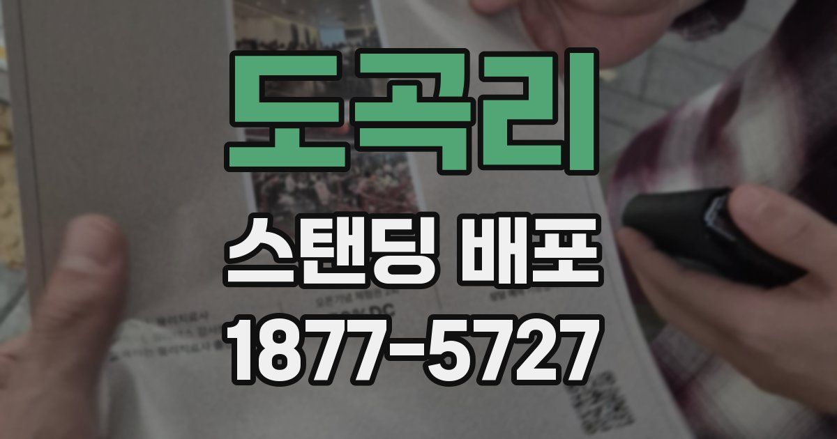 도곡리 스탠딩 배포