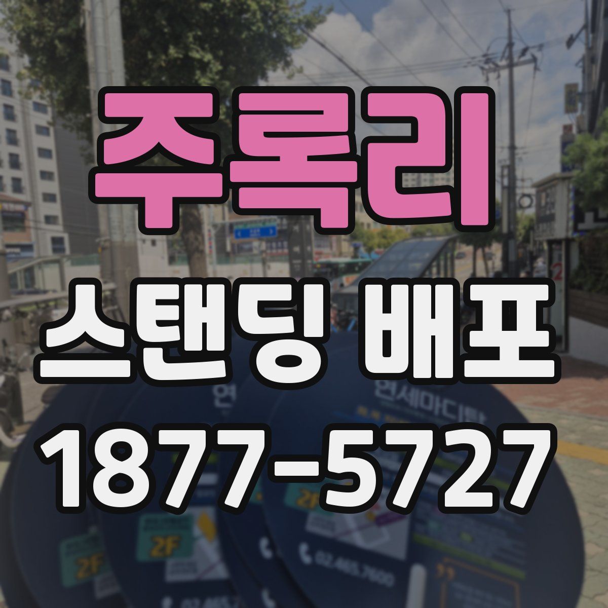 주록리 스탠딩 배포