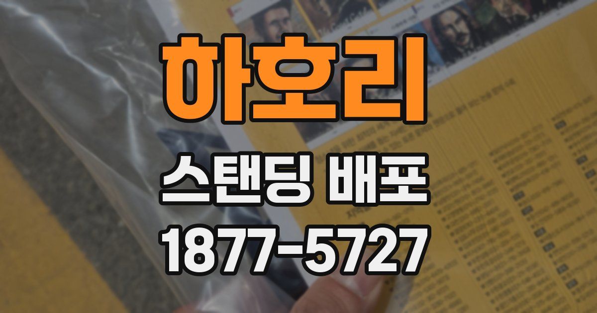 하호리 스탠딩 배포