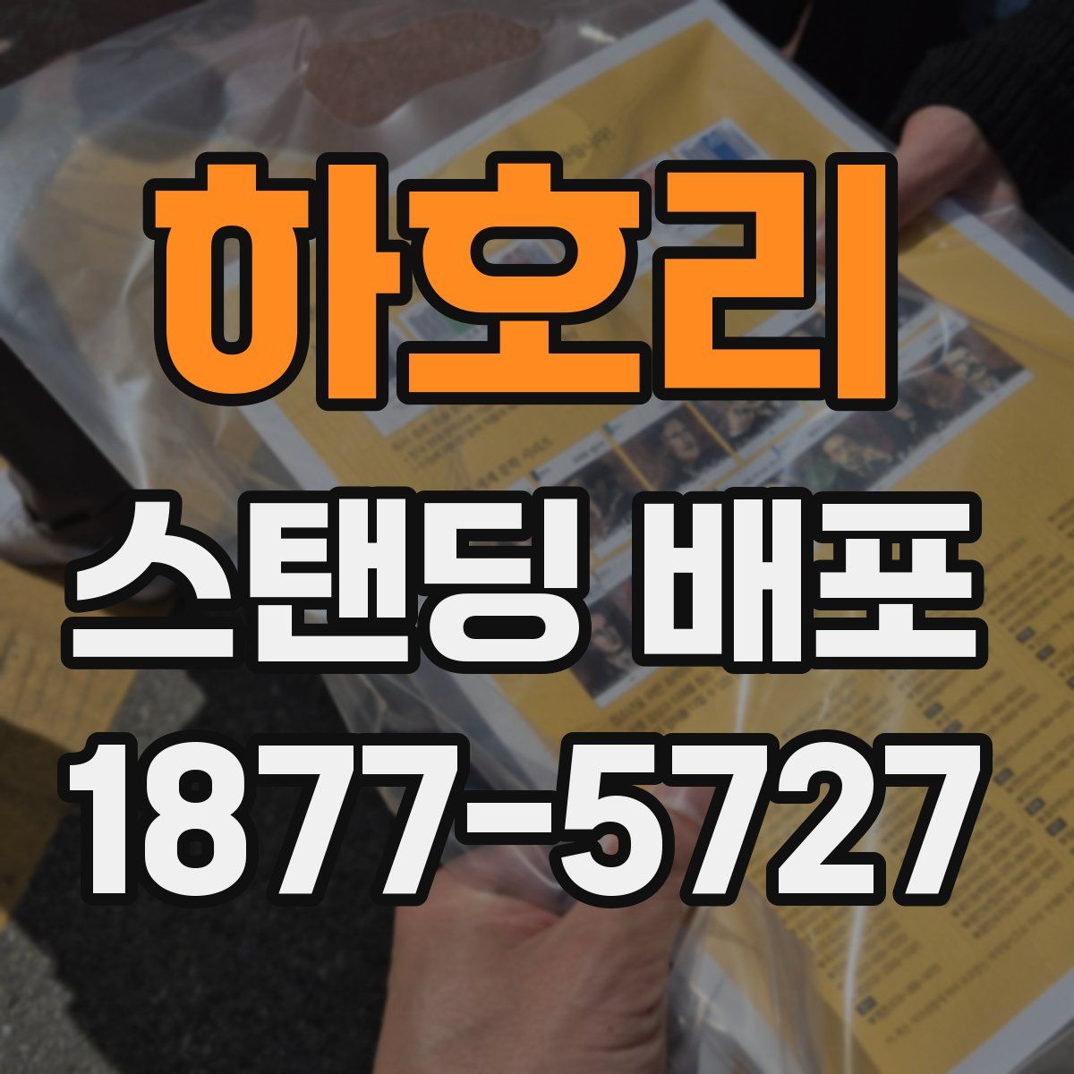 하호리 스탠딩 배포