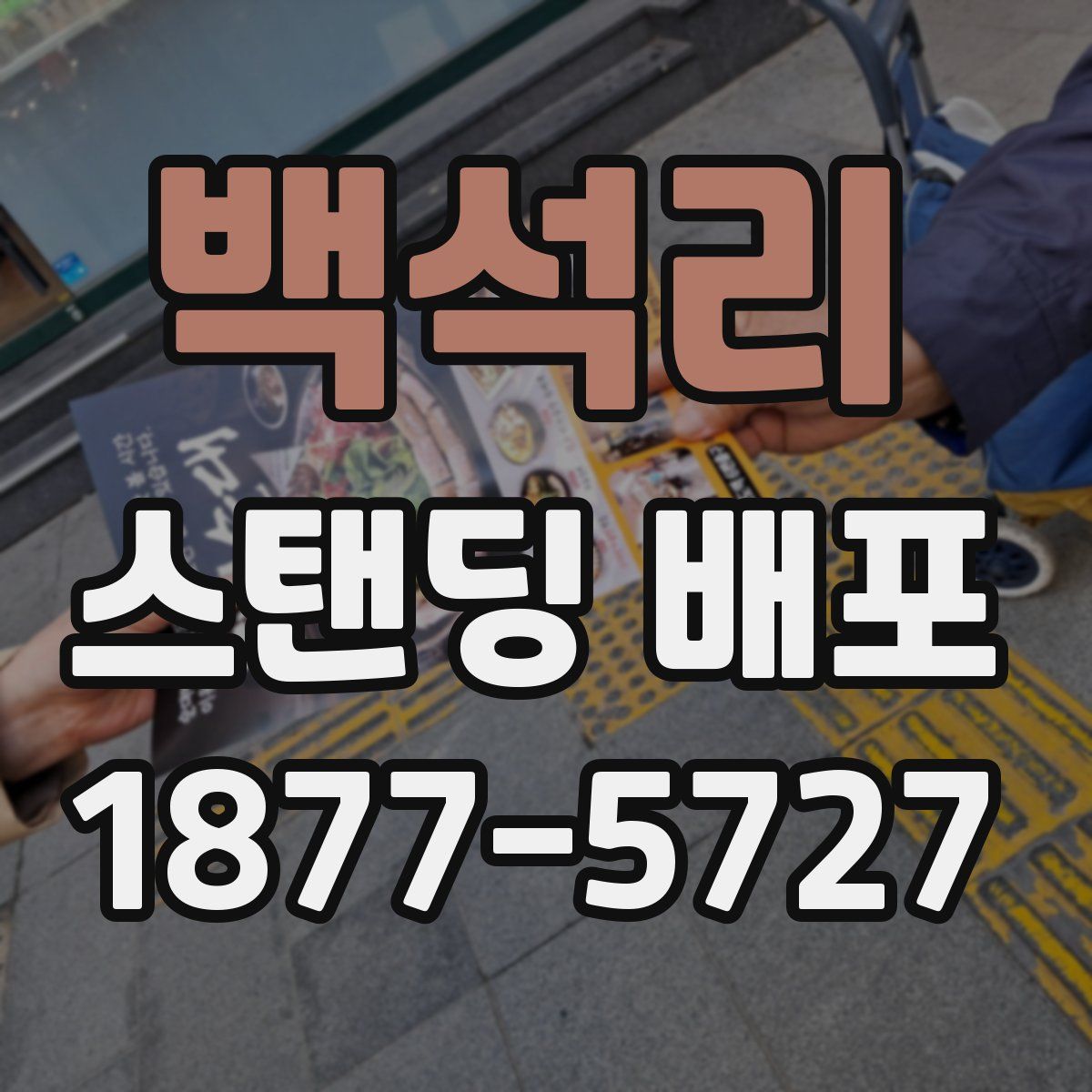 백석리 스탠딩 배포
