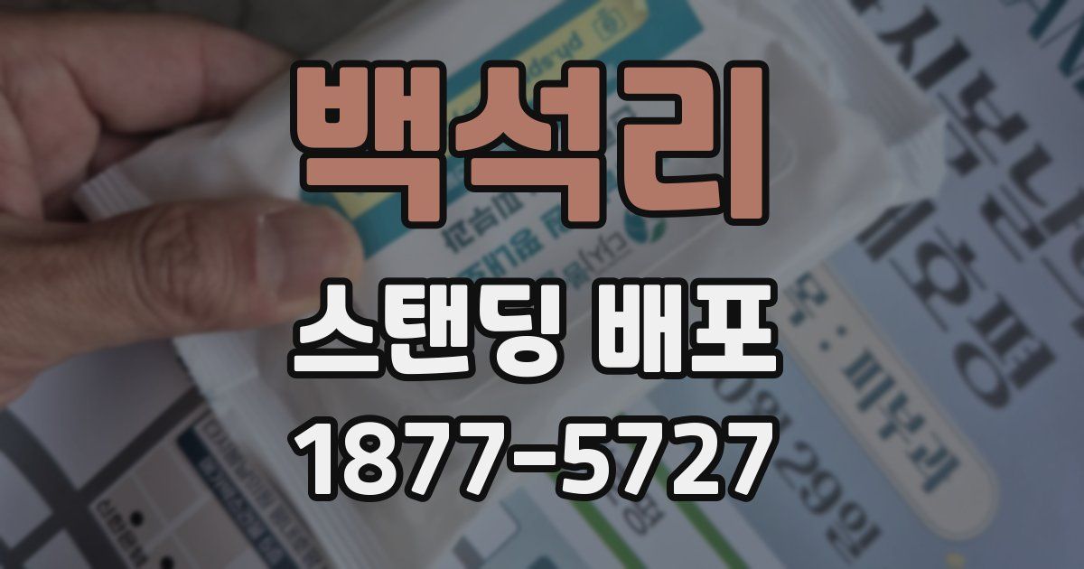 백석리 스탠딩 배포