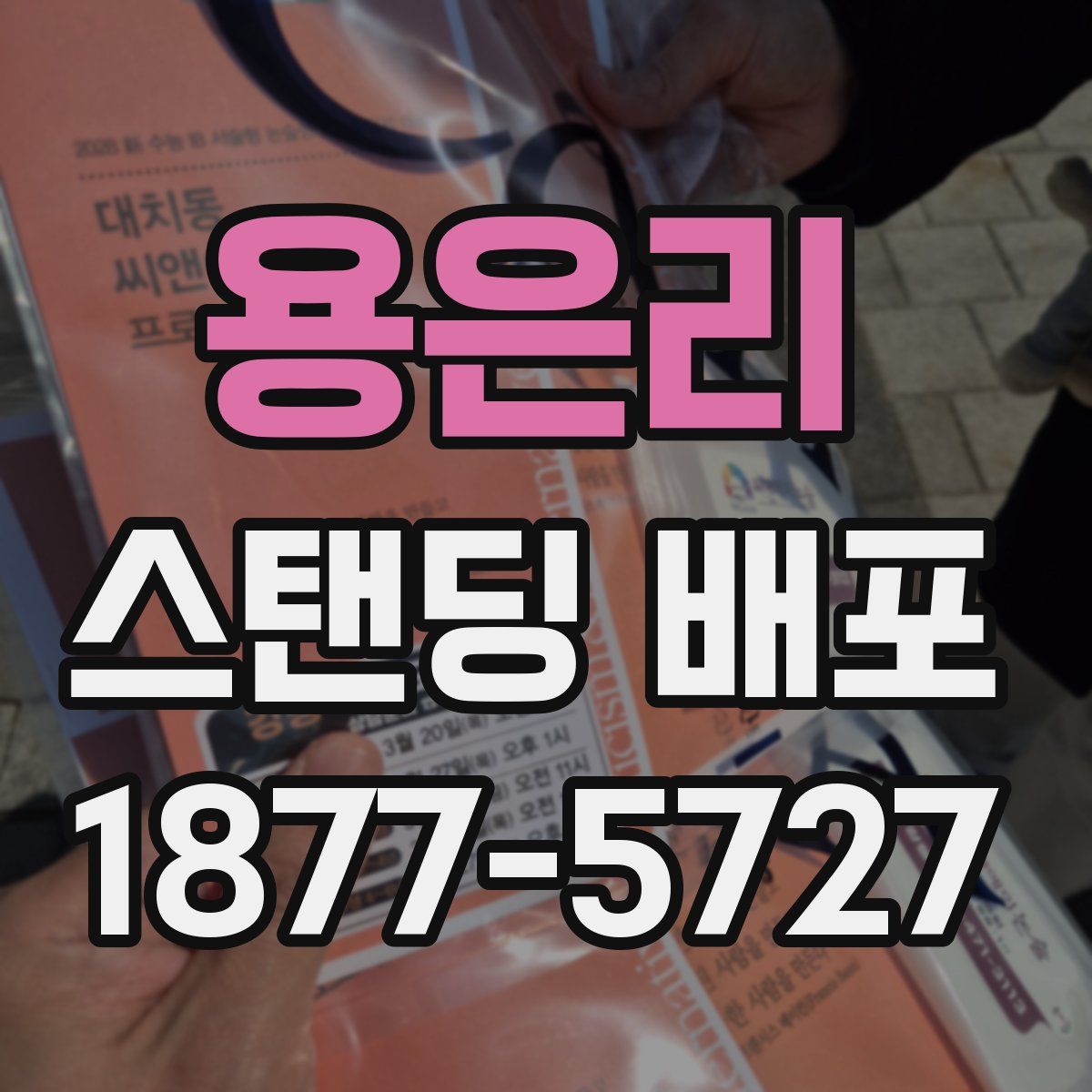 용은리 스탠딩 배포