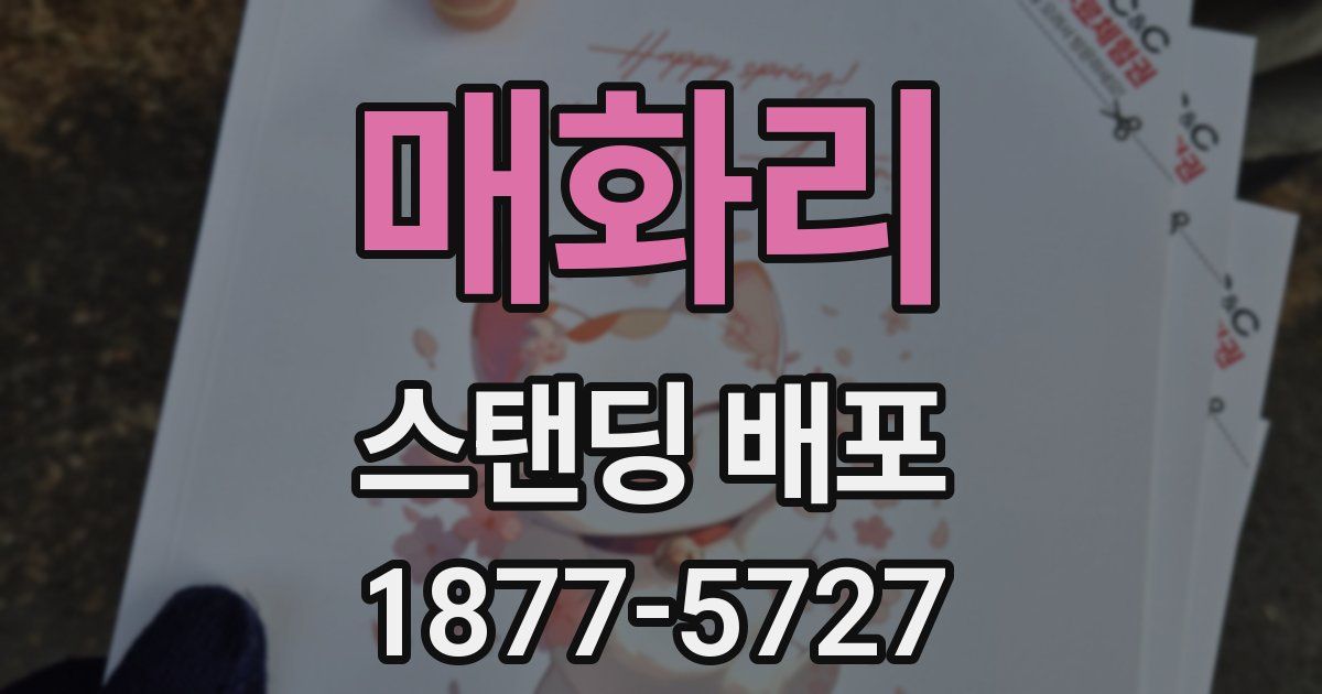 매화리 스탠딩 배포
