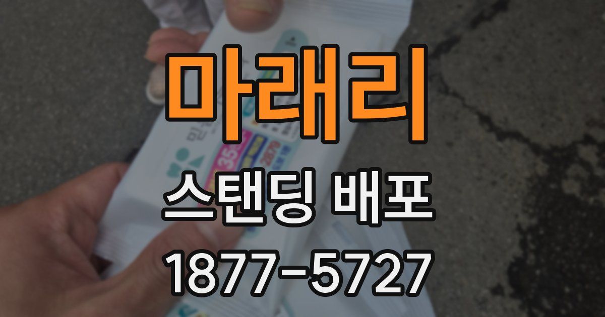 마래리 스탠딩 배포