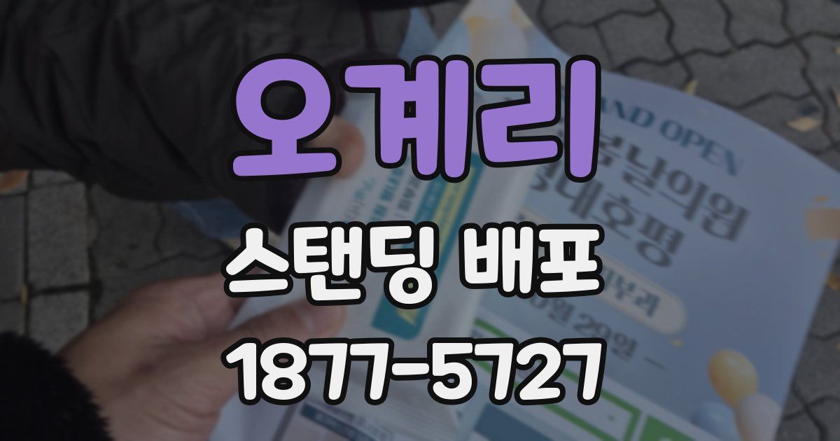 오계리 스탠딩 배포