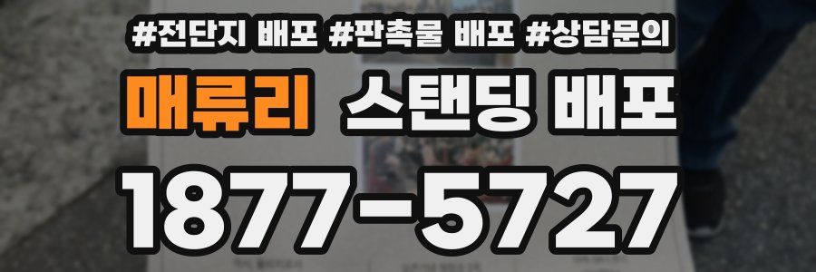 매류리 스탠딩 배포