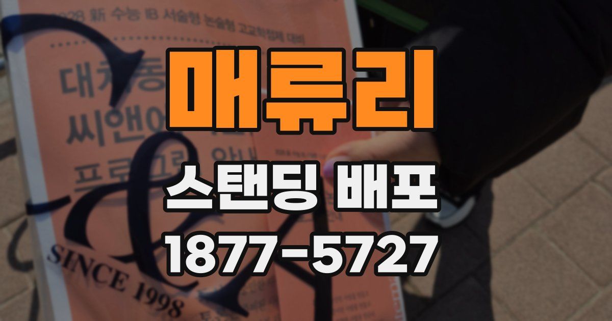 매류리 스탠딩 배포