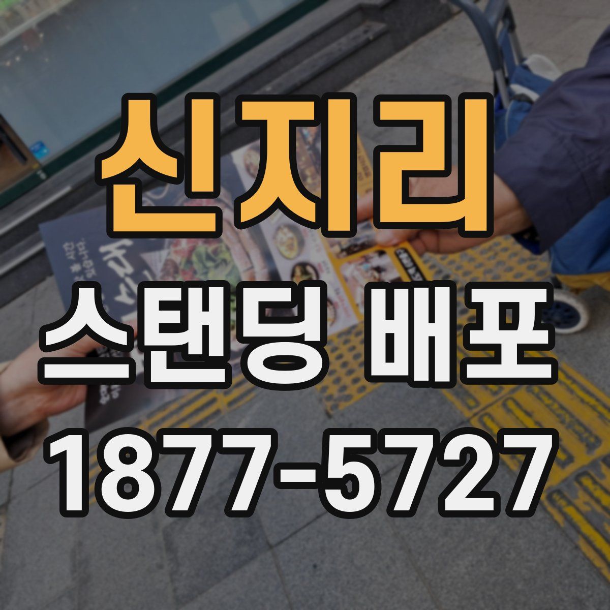 신지리 스탠딩 배포