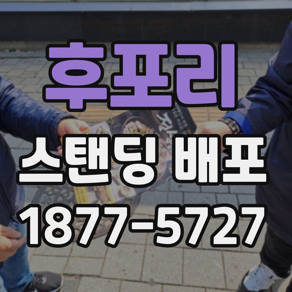 후포리 스탠딩 배포