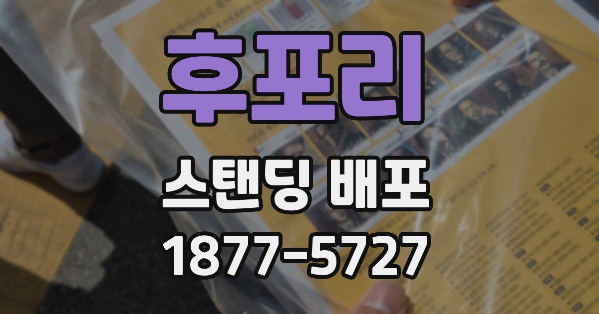 후포리 스탠딩 배포