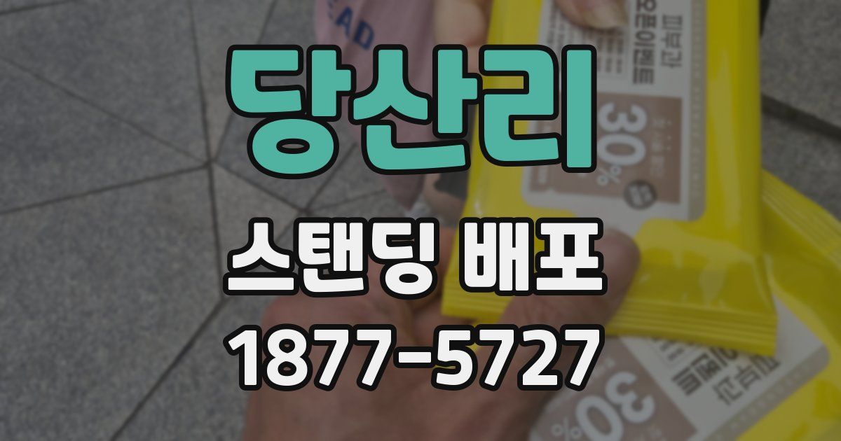 당산리 스탠딩 배포